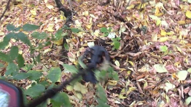 Коп с Bounty Hunter Land Ranger Pro смотреть онлайн