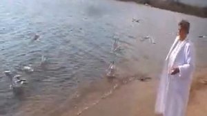 Отдых на берегу Иссык-Куля в санатории Голубой Иссык-Куль,Чолпон-Ата,Киргизия)))