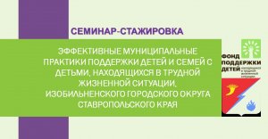 Семинар "Эффективные муниципальные практики поддержки детей и семей с детьми"