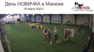 ДЕНЬ НОВИЧКА В МАНЕЖЕ