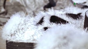 Правильная укладка искусственной травы на стадионе | Компания МАСТЕРСПОРТ