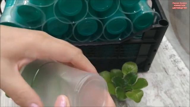 ???КАК СДЕЛАТЬ устойчивые ВАЗОНЫ для ФИАЛКИ на фитиле⁉️ смотреть онлайн