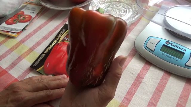 Красный сладкий перец Мегатон.