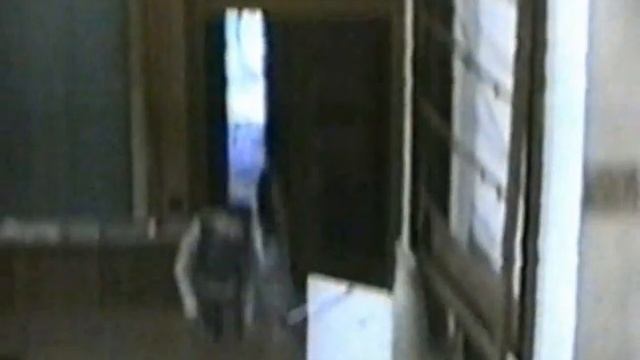ДИНАМИКА.ДЕМОНСТРАЦИЯ С МАЯТНИКОМ.ФИЗИКА.ХРОНИКА СССР
