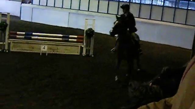 Dolce British Novice JO MEC 04-12-11 смотреть онлайн
