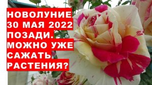 Это важно. "Новолуние 30 мая 2022 года уже позади. Уже можно начинать сажать огород?"