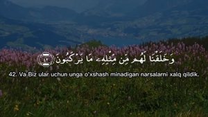 Yasin surasi (Ясин) Shayx Mishary Rashid Alafasy #yasin #quran