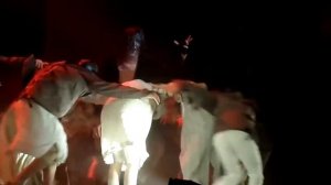 Конфронтация,мюзикл "Джекилл и Хайд" (16.01.2015)