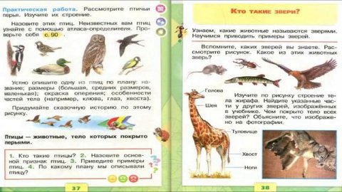 Кто такие звери? Окружающий мир. 1 класс, 1 часть. Учебник А. Плешаков стр. 38-39