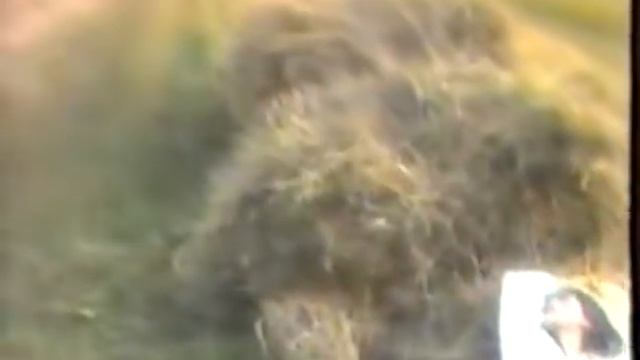 "ТАКА ЇЇ ДОЛЯ" -українська народна пісня, Ukrainian music вик.гурт "СОКОЛИ", Іван Мацялко смотреть онлайн