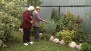 Дачные советы 16.09.21