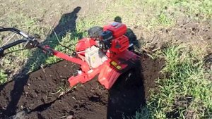 Мотоблок ДДЕ Халк