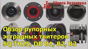Обзор рупорных эстрадных твитеров SQ TH25, DD B1, B2, B3