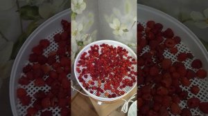 Сушилка для ягод и овощей - показываю и рассказываю, как использую для заготовок