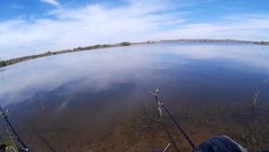 Карьер Урик на карася 31 мая 2020 года