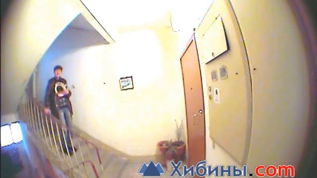 Апатиты. ворует картину в подъезде смотреть онлайн