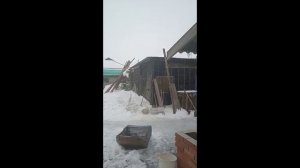 Март как так зима пришел