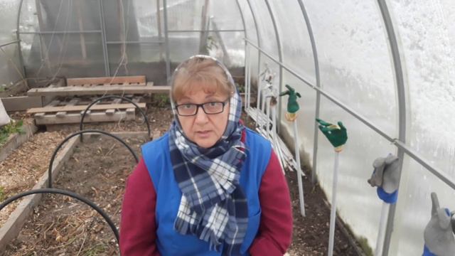 По заказу семян.
Комментарии подписчиков. смотреть онлайн