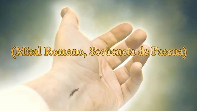 Letanías del Sagrado Corazón de Jesús día 28. Meditaciones de San Juan Pablo II смотреть онлайн
