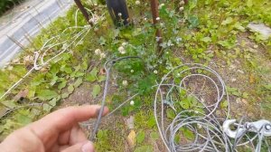 Дом из арболита Короткий новостной выпуск со стройки из монолитного арболита у дачника.