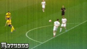 голешник красивый