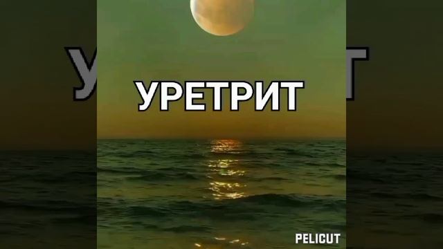 ?Уретрит. Матрица Гаряева . смотреть онлайн