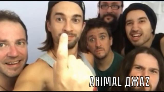 "Animal ДжаZ" приглашает на "Перезагрузку"-2015 смотреть онлайн