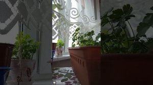 Какая погода сейчас в Москве Беляево и ДеЖавю