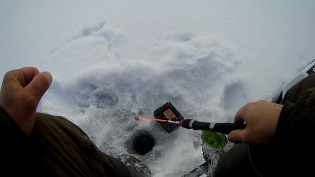 Рыбалка на судака 16.12.2019.на блесна.или погоня за бешенной мото собакой смотреть онлайн