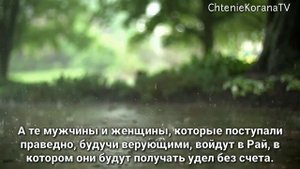 Шейх Альбани красиво читает Коран.