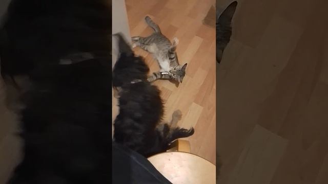 играем смотреть онлайн