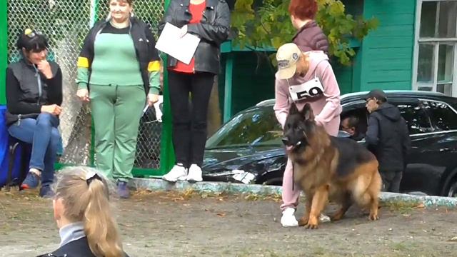 59. ВОЛЬФЕНКРАФТ ГОЛИАФ смотреть онлайн