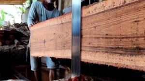 Dahsyatnya,,gergaji kayu super besar ini di sawmill mampu hasilkan keuntungan tiada Tara