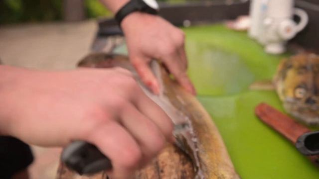 Как разделать судака на филе быстро и правильно.Лучший способ