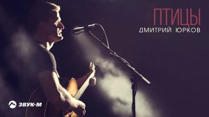 Дмитрий Юрков - Птицы