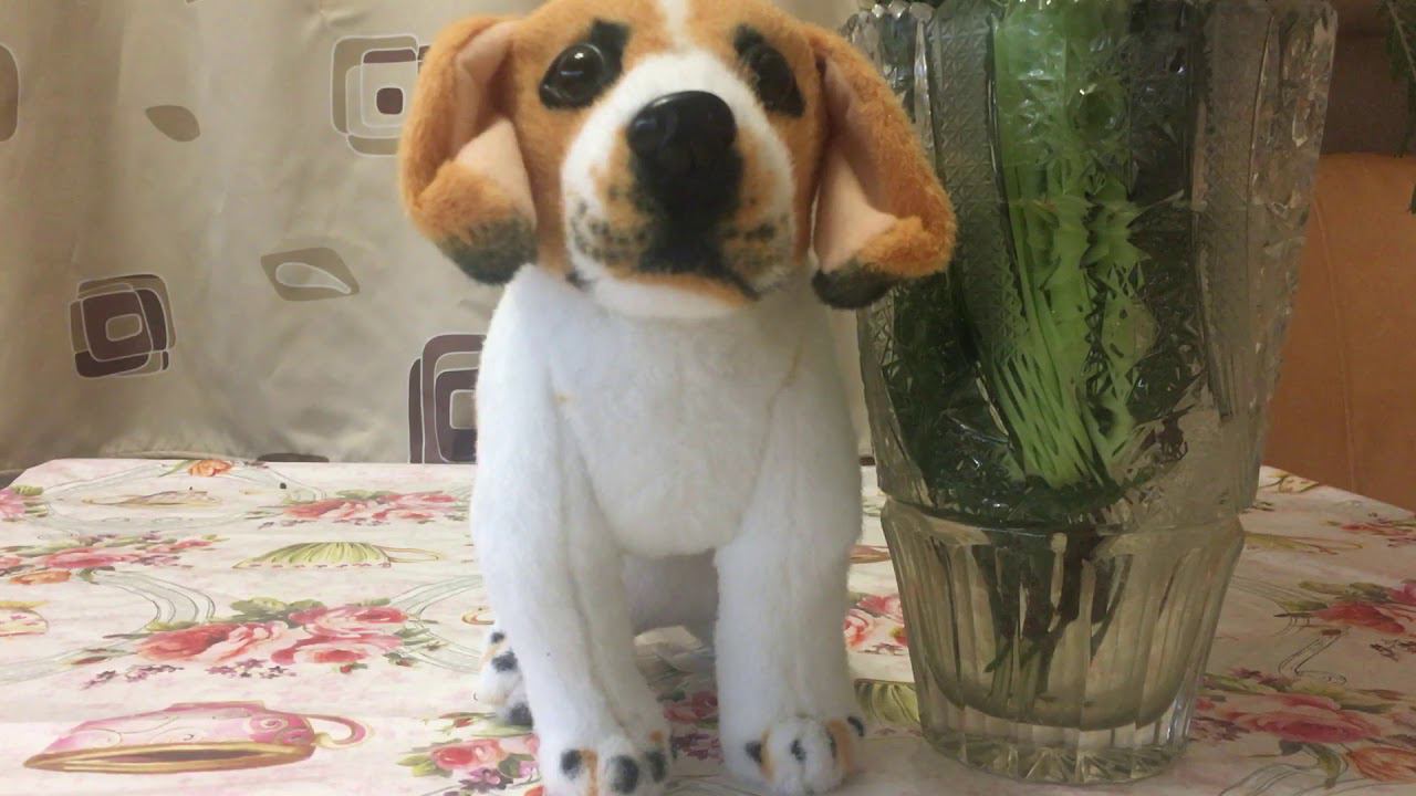 Прошёл год, 8 марта, о конкурсах, итоги и прогнозы курсов смотреть онлайн