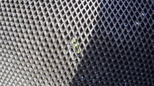 Лодка KITT BOATS 340