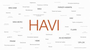 ВСП: Инструментальная арматура HAVI Engineering