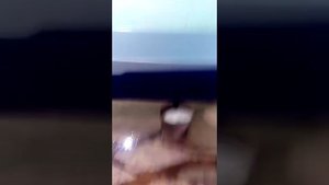 Центрифуга для отжима ковров - Оборудование для чистки стирки мойки паласов. Техклинер.