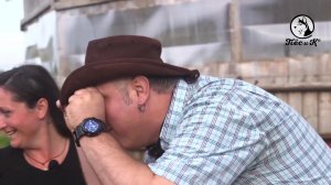 Собачья работа. Пастушьи собаки