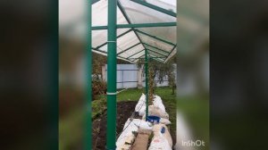 Виноград, укрытие к зиме в условиях Сибири(Кемеровская облоасть)
