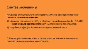 Видеолекция "Образование и обезвреживание аммиака"