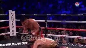 Vargas vs Miura 10101