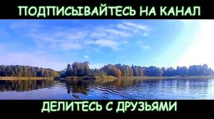 🎣Поплавок скользящий, оснастка,👍