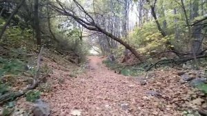 Нижний Новгород 2020. Золотая осень. Урочище Слуда 1