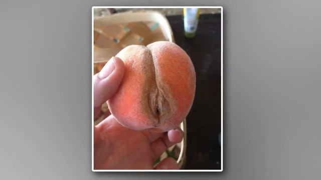 ♥♡♥Топ 10 Смешно Образные Фрукты И Vegetables_HD♥♡♥ смотреть онлайн