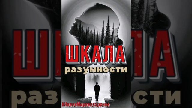 ШКАЛА РАЗУМНОСТИ...mp4