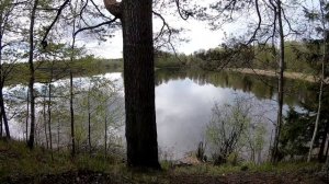 Рыбалка с берега. Рыбалка на щуку. Ловля щуки на озере. Спиннинг 2020. Рыбалка 2020.