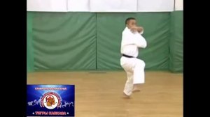 Каратэ Киокушинкай: Ката №4- Пинан Соно Йон | Kyokushin Karate: Kata - Pinanono Yon