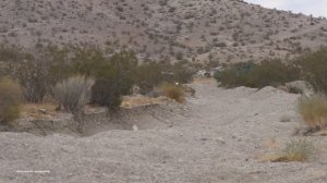 2018 Polaris RZR XP Turbo Dynamix VS Can Am Maverick X3 X RS